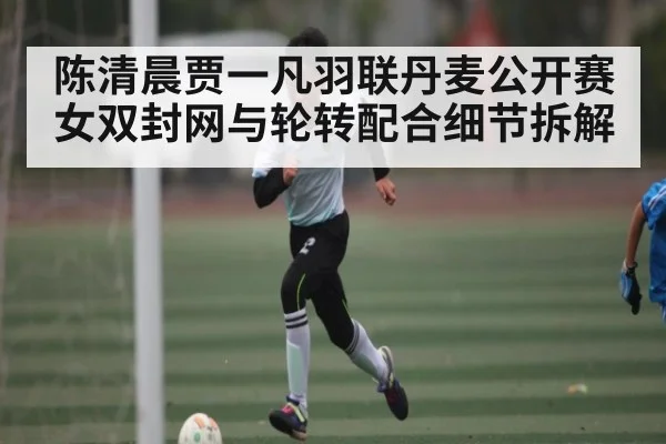 陈清晨贾一凡羽联丹麦公开赛女双封网与轮转配合细节拆解