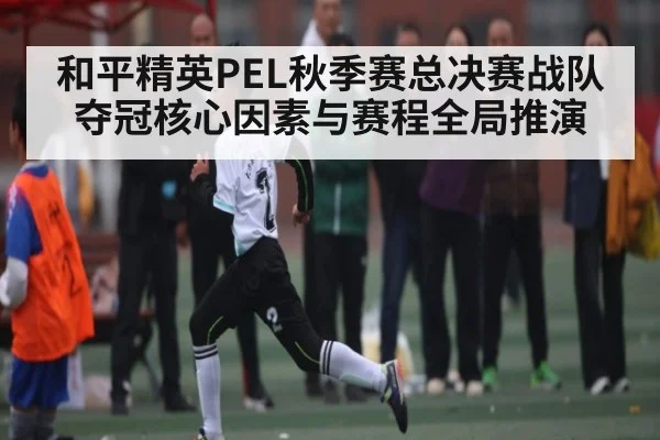 和平精英PEL秋季赛总决赛战队夺冠核心因素与赛程全局推演